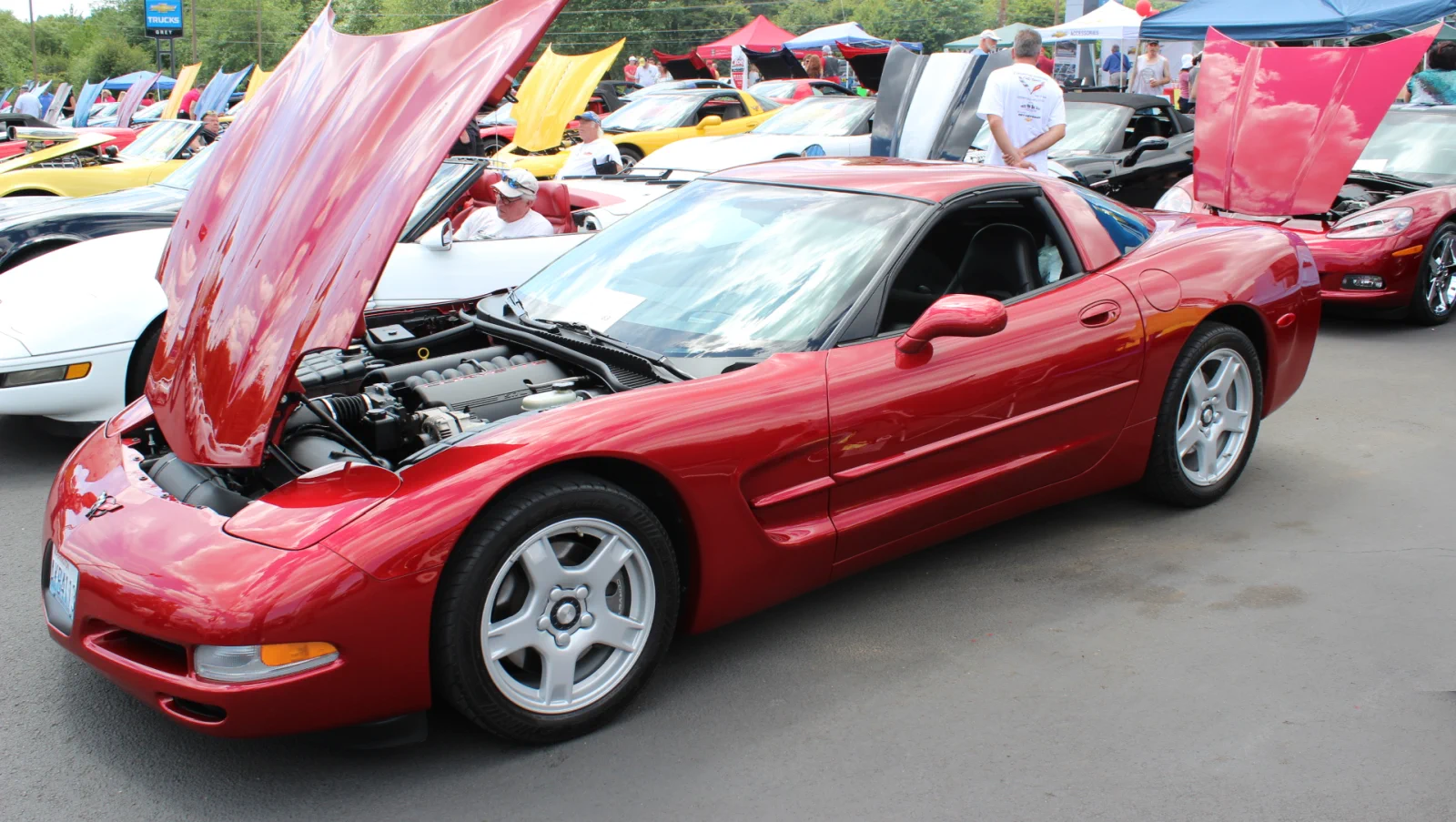Click to Enlarge-Esc to Close Corvette Generations/C5/C5 Red -Buckwalter.webp